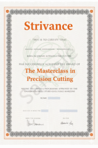 Generated Image December 17, 2025 - 3_00PM